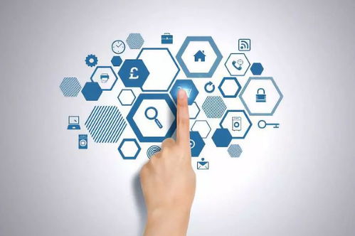 健康管理與咨詢 掌握科學方法，擁抱優(yōu)質(zhì)生活